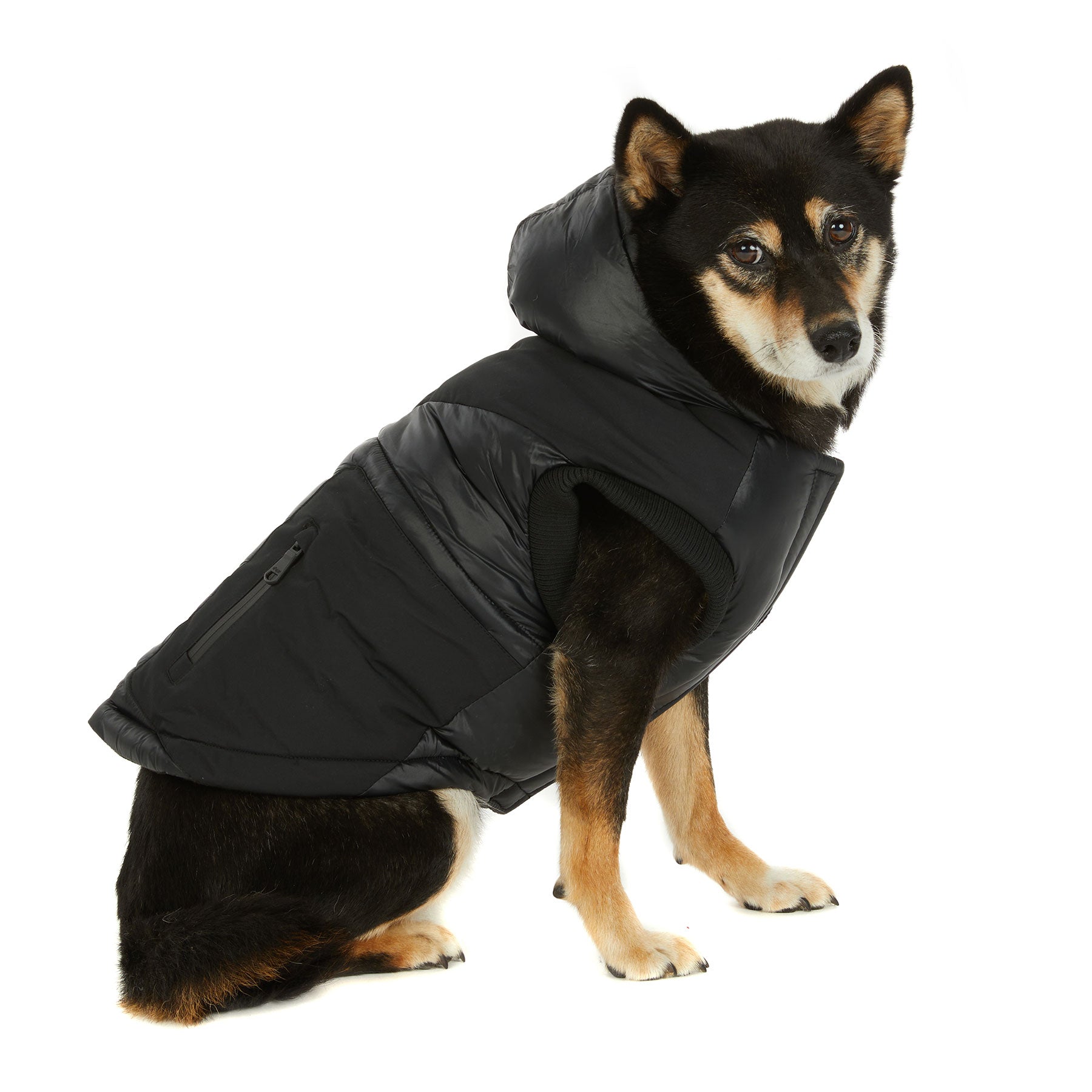 Dog black clearance jacket