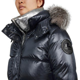 ARCTIC