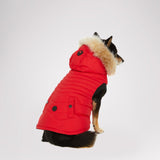Toby Jacket for Dogs