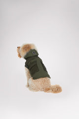 MILITAIRE
