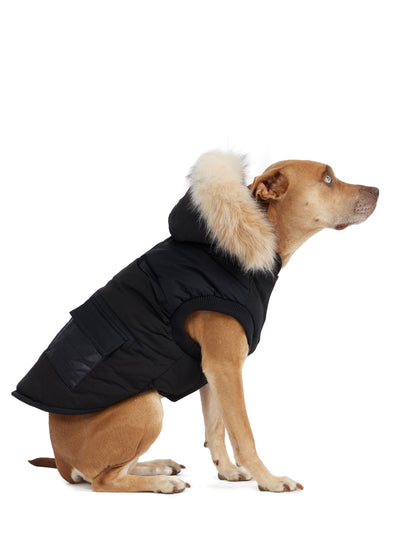 Zeus Jacket for Dogs w/Faux Fur Trim