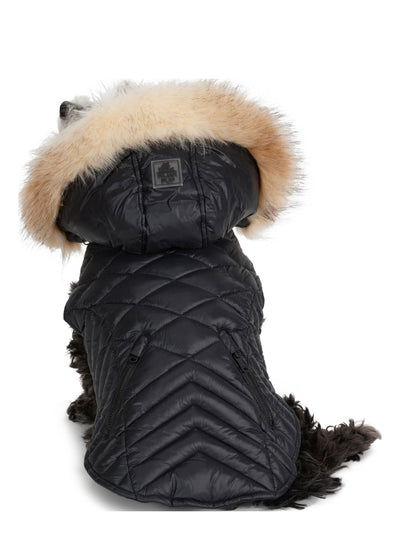 Zola Jacket for Dogs w/Faux Fur Trim
