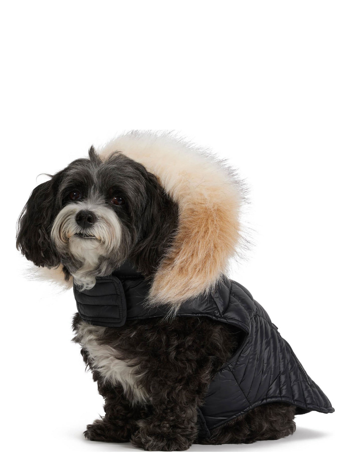 Zola Jacket for Dogs w/Faux Fur Trim