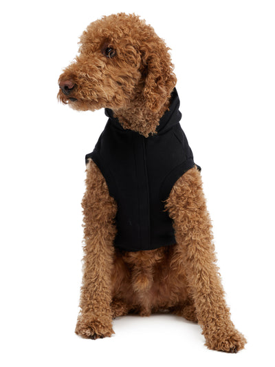 Dash Hoodie for Dogs