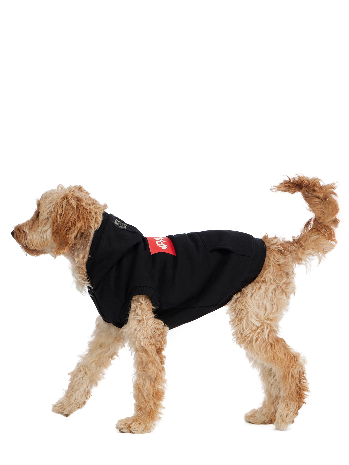 Dash Hoodie for Dogs