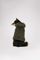 MILITARY