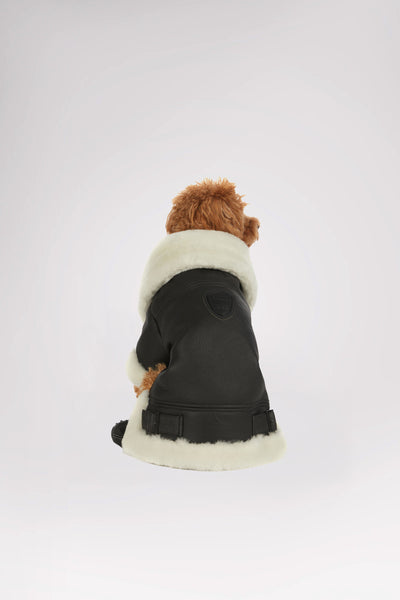 Preston Luxury Faux Shearling Coat for Dogs | Pajar Canada
