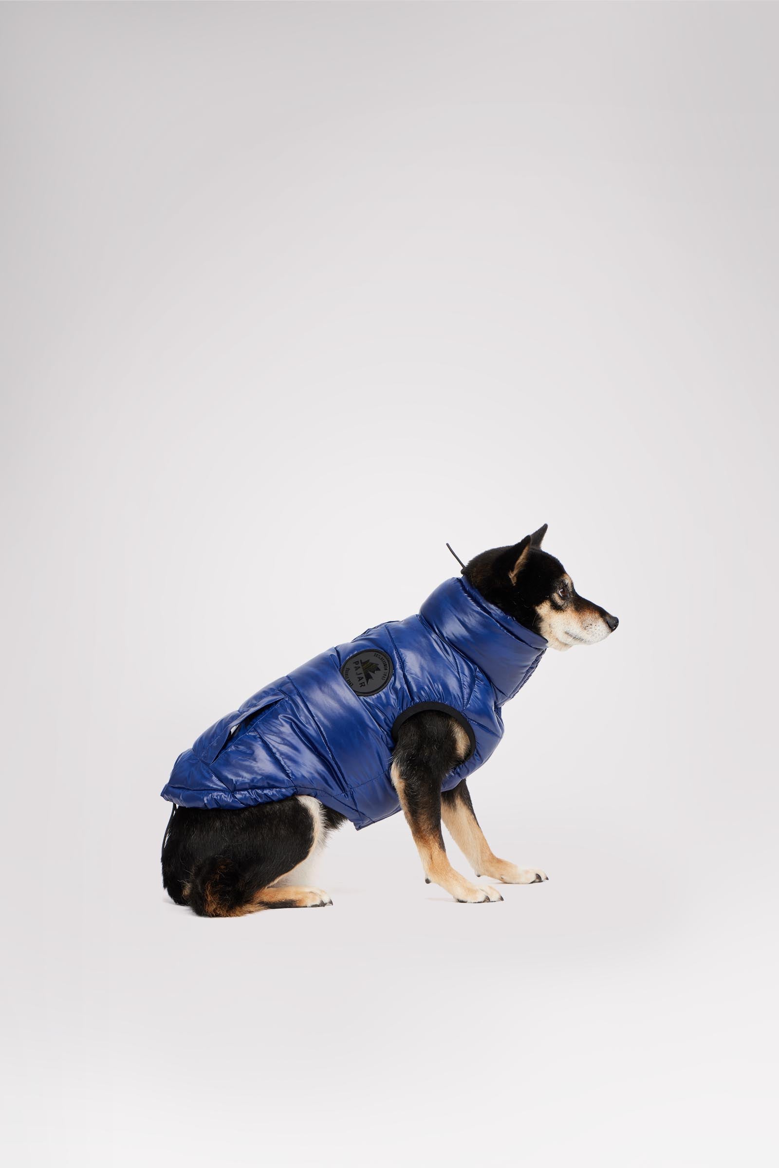 Theo Reversible Puffer for Dogs