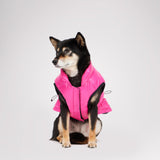 Rosie Quilted Coat w/cinched waist for Dogs