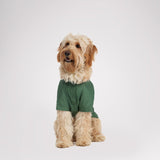 Neo reflective Rain Jacket for Dogs