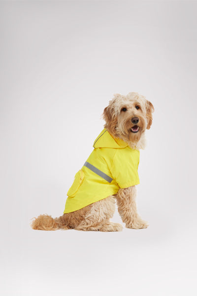 Neo reflective Rain Jacket for Dogs | Pajar Canada