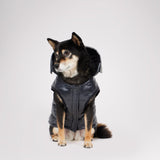 Miles Quilted Coat with reflective Visor for Dogs