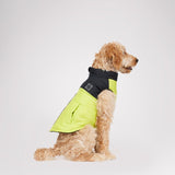 Derby Sporty Jacket for Dogs