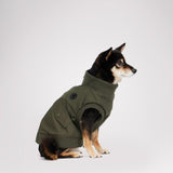 Marley Bomber Jacket for Dogs