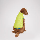 Cora Reversible Packable Puffer for Dogs