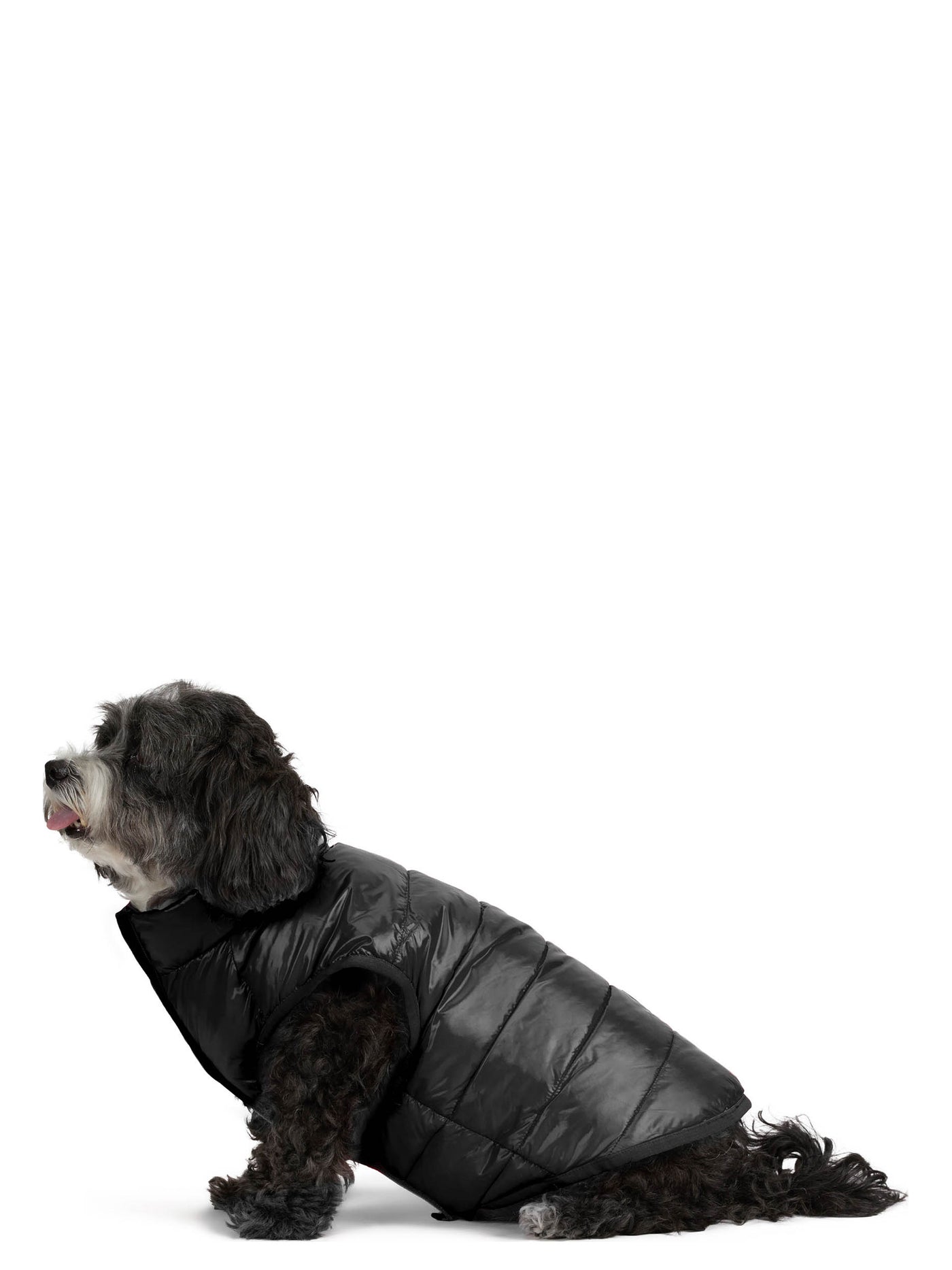 Cora Reversible Packable Puffer for Dogs