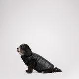 Cora Reversible Packable Puffer for Dogs