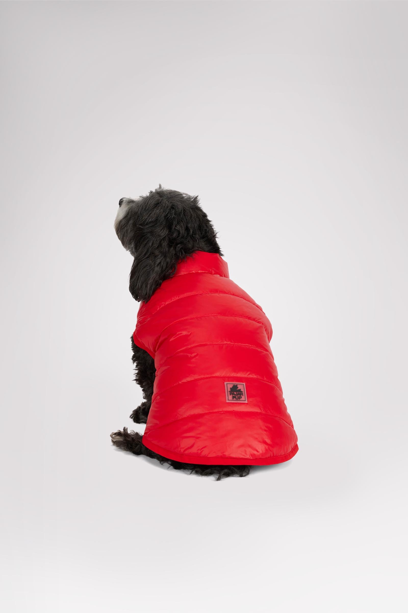 Cora Reversible Packable Puffer for Dogs