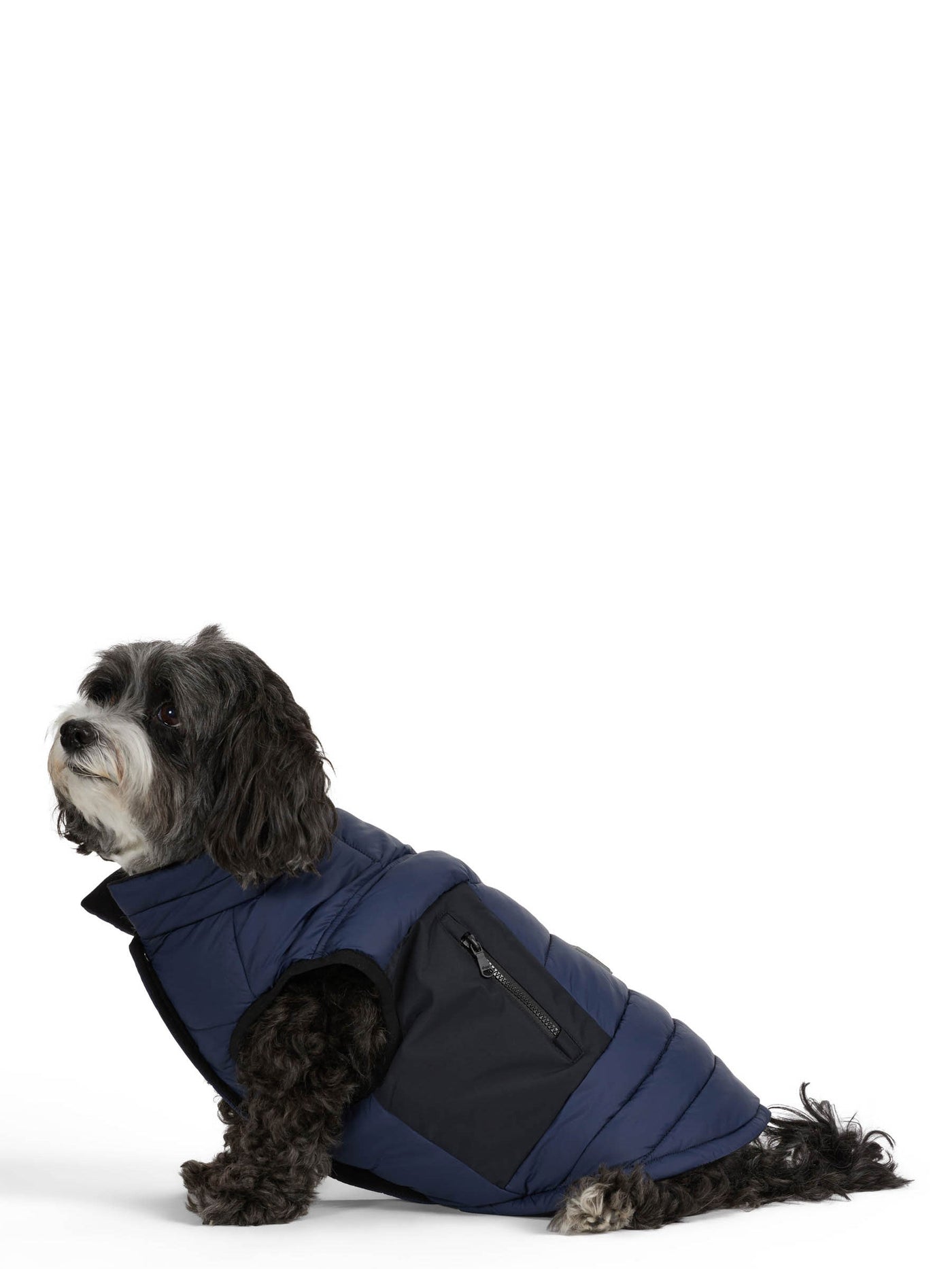 Beau Jacket w/Leash Attachment for Dogs