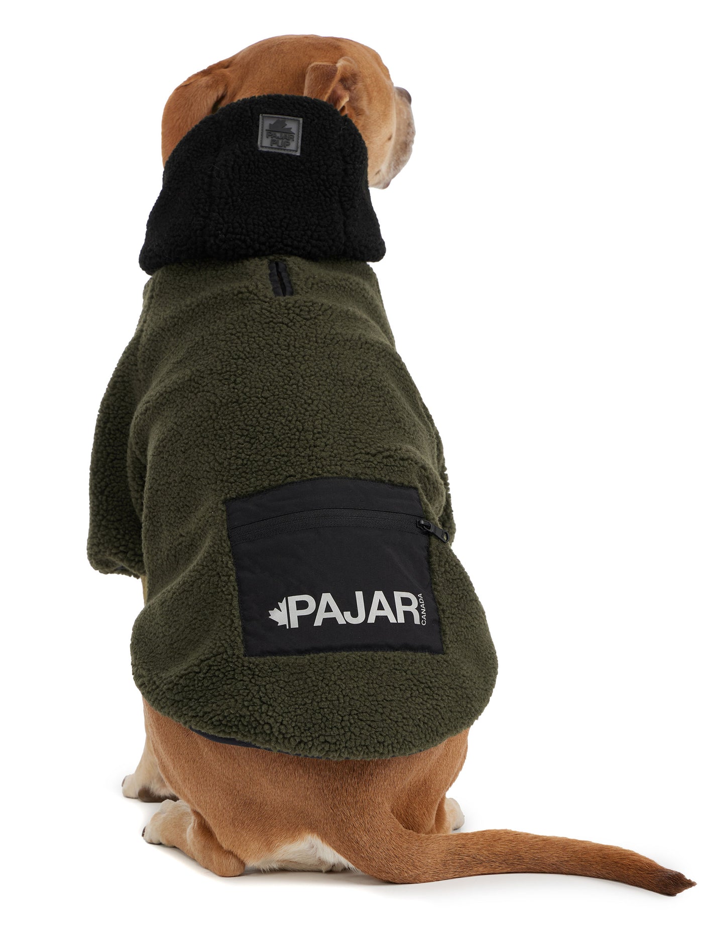 Max Jacket w/Hood for Dogs