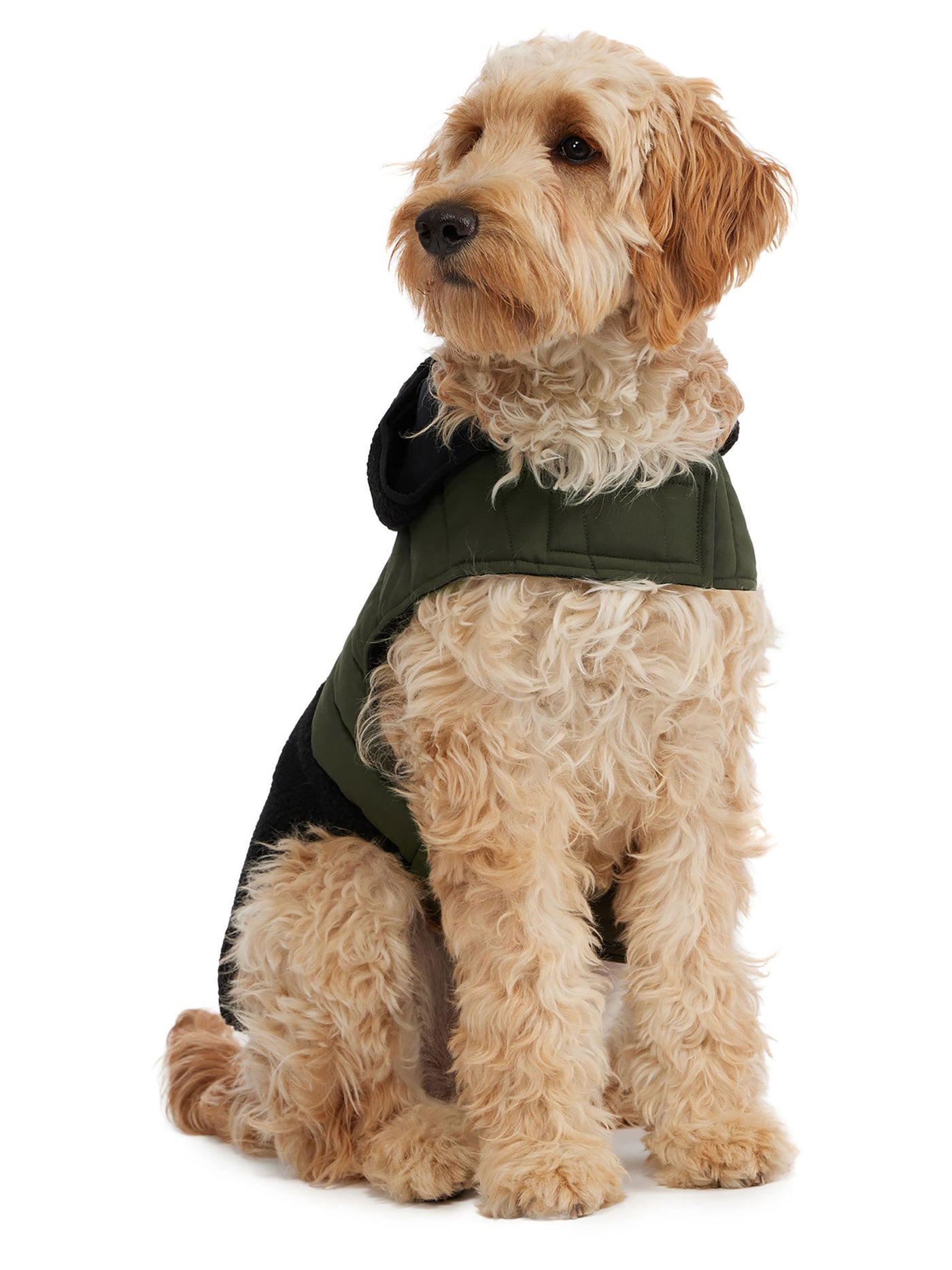 Loki Easy Fit Jacket w/Hood for Dogs
