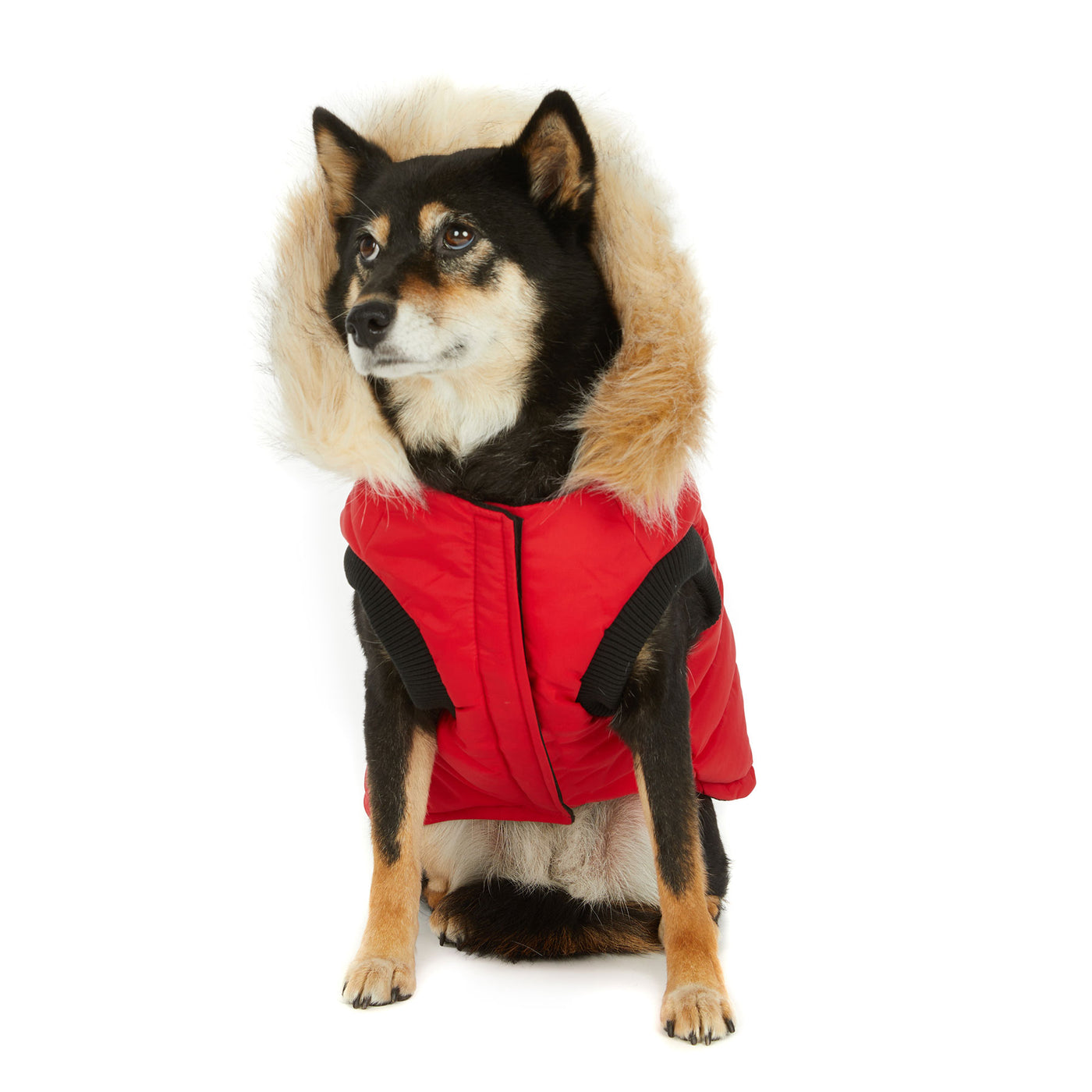 Toby Jacket for Dogs